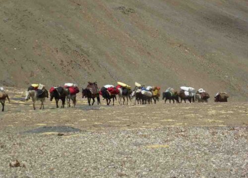 Rumtse-to-Tsomoriri-Trek-image-2-trekkinginladakhzanskar.com