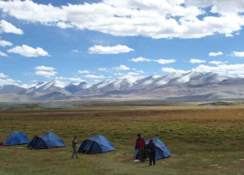 Rumtse-to-Tsomoriri-Trek-image-6-trekkinginladakhzanskar.com