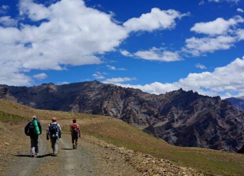 Hemis-to-Tsomoriri-Trek-image-5-trekkinginladakhzanskar.com