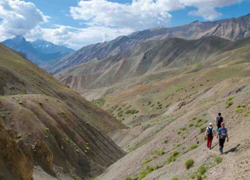 Markha-Valley-Trek-from-Chilling-image-2-trekkinginladakhzanskar.com