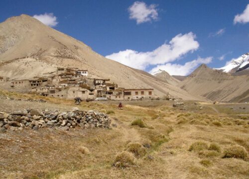 Stongde-to-Phuktal-Trek-via-Stongdela-(Zanskar)-image-1-trekkinginladakhzanskar.com
