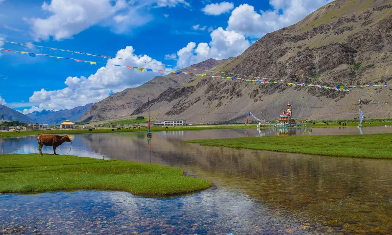 Ladakh-Tour-5-Nights-6-Days-(Indus + Nubra+ Pangong)-featured-image-trekkinginladakhzanskar.com